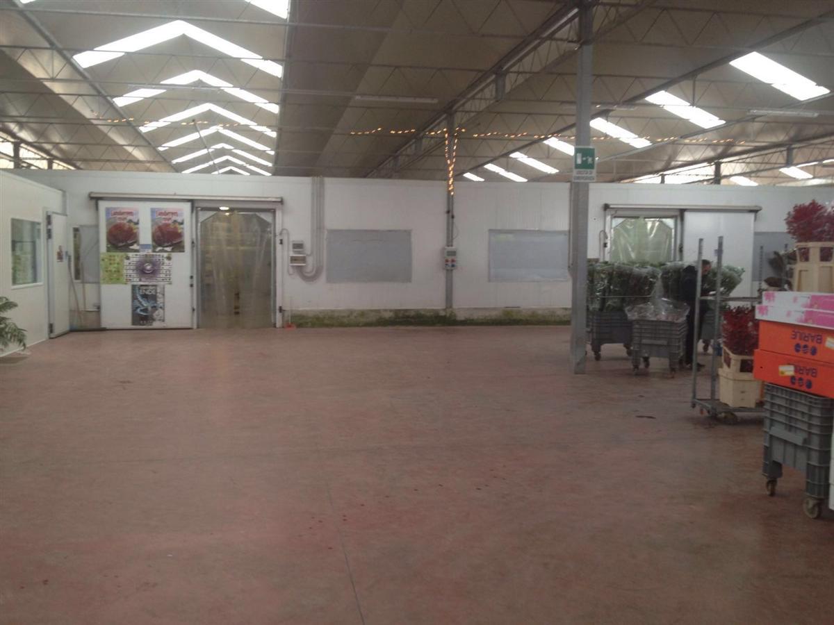 Cella di conservazione 13